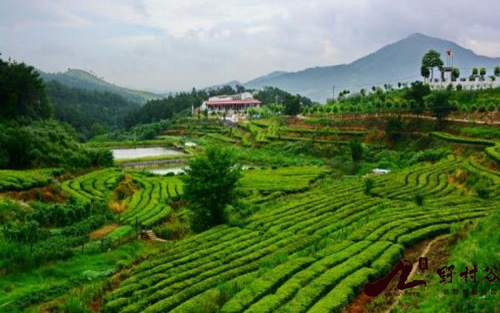 1538394802568178.jpg 山保风景.jpg+2.jpg