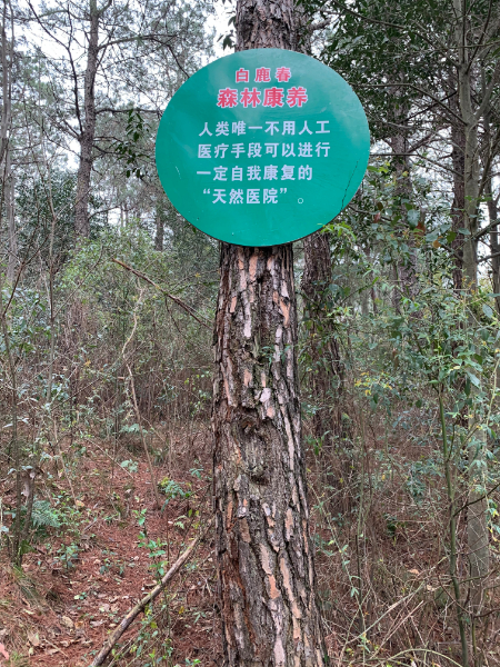 1615125017634927.jpg 微信图片_20210307212042.jpg