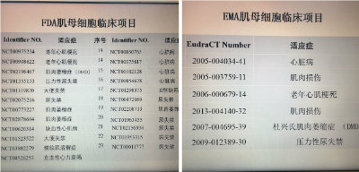 1575799601946492.jpg 拼图美欧审批项目.jpg