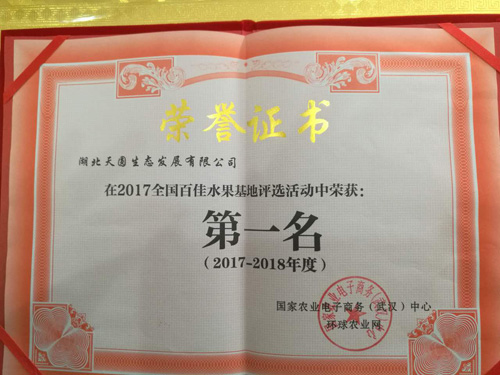 1513597162445895.jpg jpg第一名.jpg