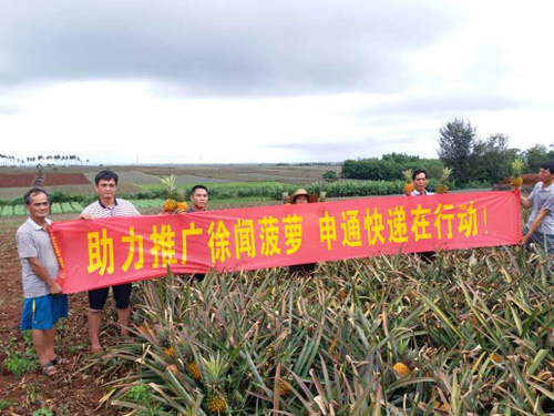 1528784613679744.jpg 图片5.jpg+5.jpg
