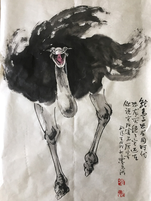 1539146063329571.jpg 跎鸟1.jpg