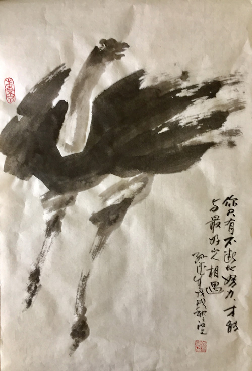 1539146122329518.jpg 飞的跎鸟.jpg