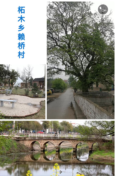1559095762864668.jpg 赖桥村.jpg