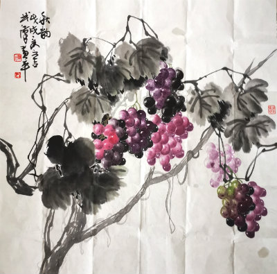1570962091214109.jpg 黄萄萄.jpg