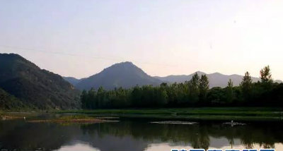 1575294321474265.jpg 驻马店图++.jpg