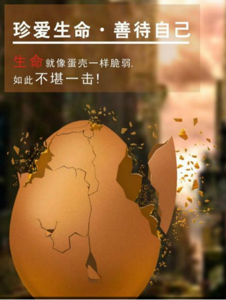 1586507040126381.jpg 生命有如蛋壳.jpg