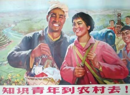 1656477367329440.jpg 微信图片_20220629121942.jpg