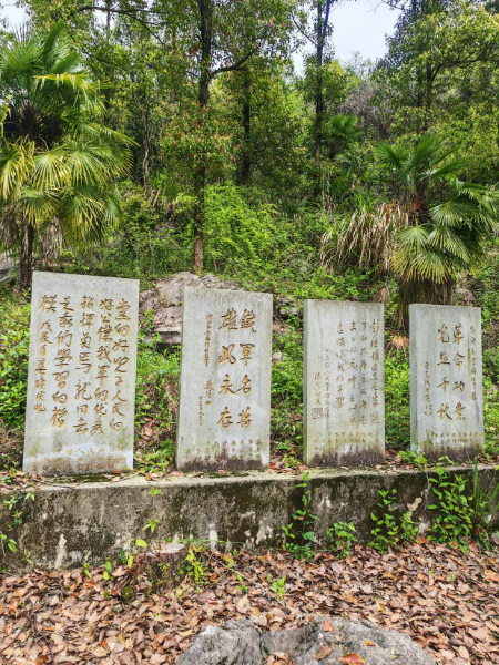图片3(29).jpg
