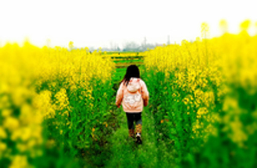 1527764737139334.jpg jpg有小孩.jpg