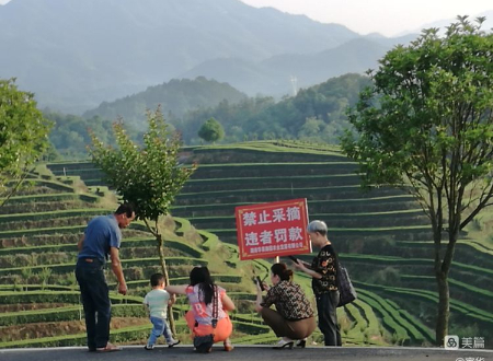 1655730491223929.jpg 微信图片_20220620203931.jpg