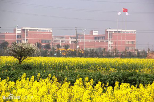 1511005066814642.jpg jpg容城新景.jpg