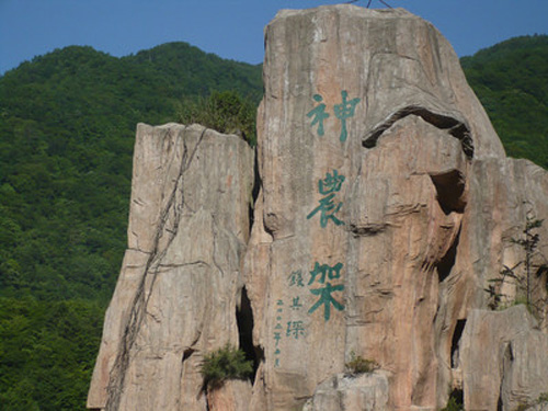1527935502733521.jpg jpg神龙架.jpg
