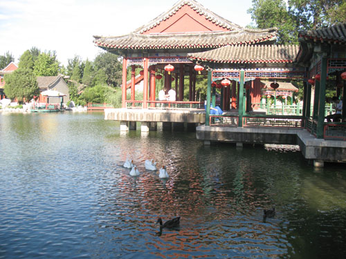 1533196007539360.jpg 图片7+7.jpg
