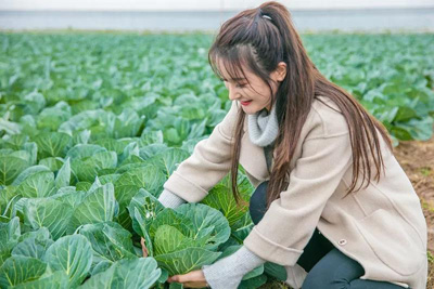 1545574202391447.jpg 三里畈温泉菜.jpg