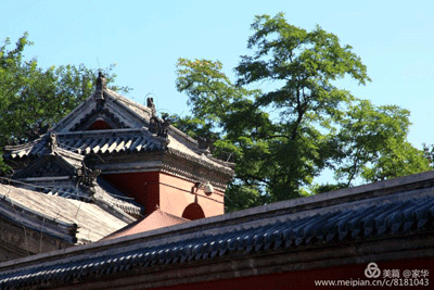 1556277601345880.gif 4.gif+.gif