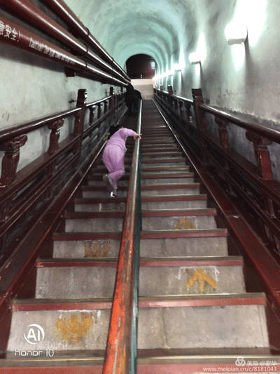1556277734658831.gif 10.gif+.gif