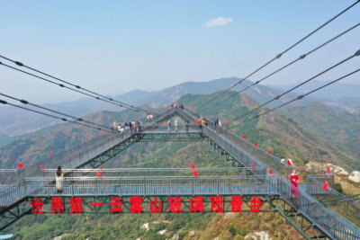 1572004910611662.jpg 世界第一.jpg