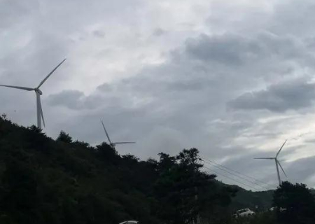 1597199677635163.jpg 稿定设计导出-20200812-101713.jpg