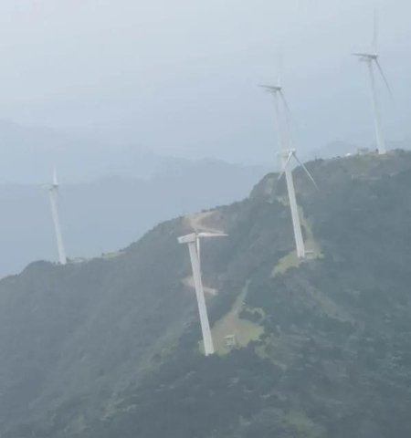 1597199693929004.jpg 稿定设计导出-20200812-101809.jpg