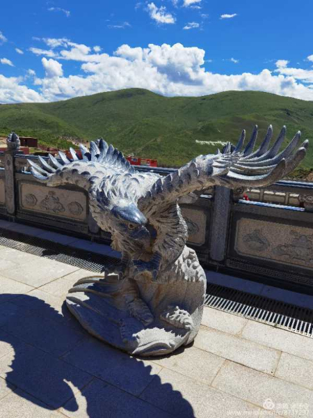 1597585328584399.jpg 稿定设计导出-20200815-222056.jpg