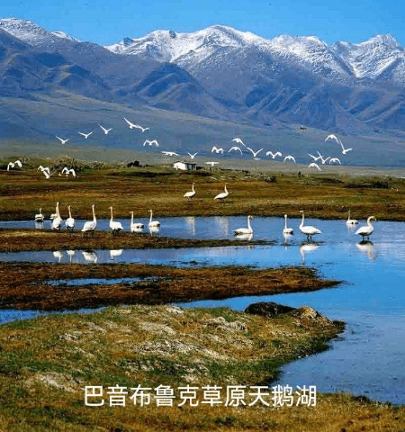 1651586001515535.jpg 微信图片_20220411222512.jpg