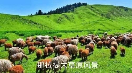 1651586112423605.jpg 微信图片_20220411222532.jpg