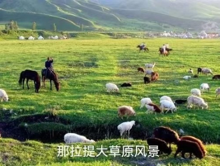 1651586140686235.jpg 微信图片_20220411222543.jpg