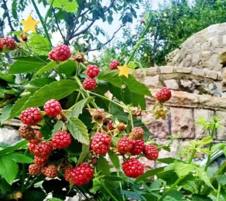 1672397823176197.jpg 微信图片_20221230181918.jpg