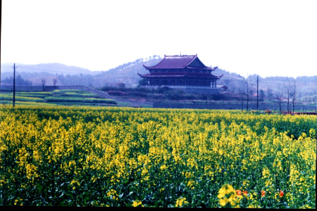 1677467139666887.jpg 图片4(1).jpg