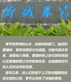 1689579086336902.jpg 3ad376be4d1ac810b27a3b90cd6a1de6.jpg