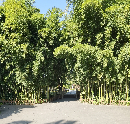 1702616972168137.jpg 微信图片_20231214181045.jpg