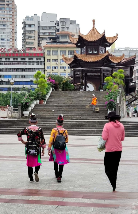 1725600293869703.jpg 3c7dd40b19fce3c7667775235dede479.jpg