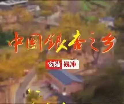 1731904110459375.jpg 微信图片_20241118114529.jpg