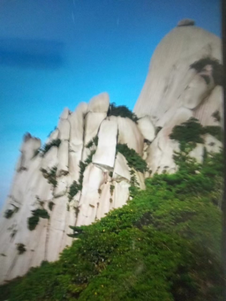 1746432883569508.jpg 微信图片_20250503134713.jpg