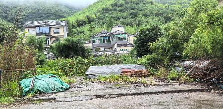 1750885213797090.jpg 微信图片_20250626043341.jpg