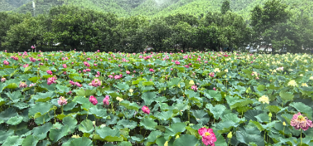 1750885269388053.jpg 微信图片_20250626043432.jpg