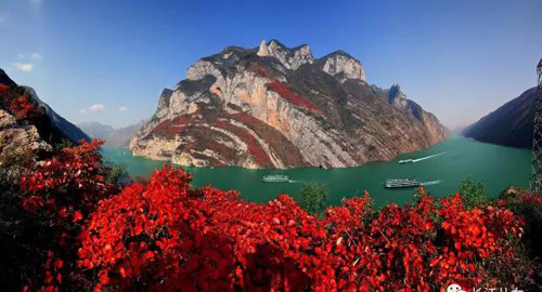 1510858287662039.jpg jpg红叶图片.jpg