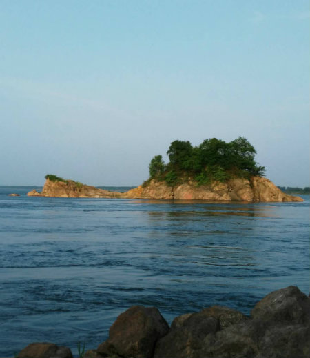 1586336479944094.jpg 杨林山+.jpg