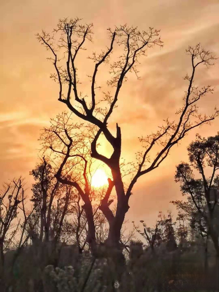 1622814654149211.jpg 未命名图片.jpg