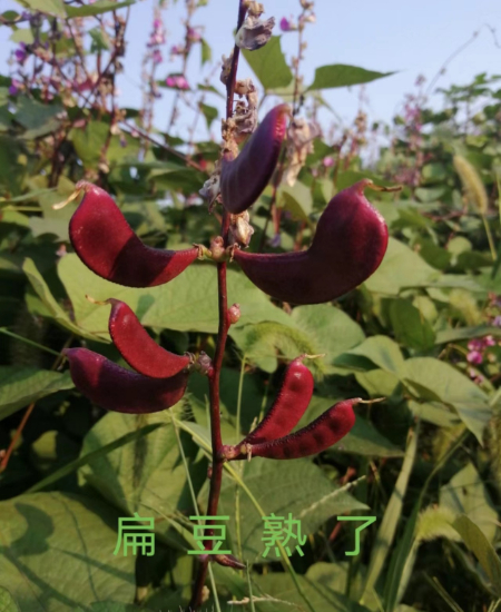 1688621852435393.jpg 图片2(8).jpg