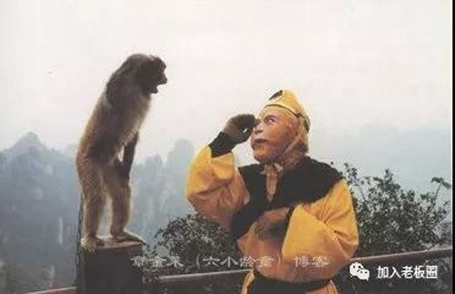 1517117547507491.jpg jpg猴子猴哥.jpg
