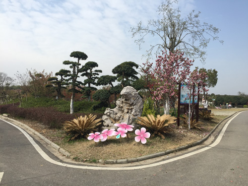 1528035081568125.jpg jpg都市田园一景.jpg+.jpg