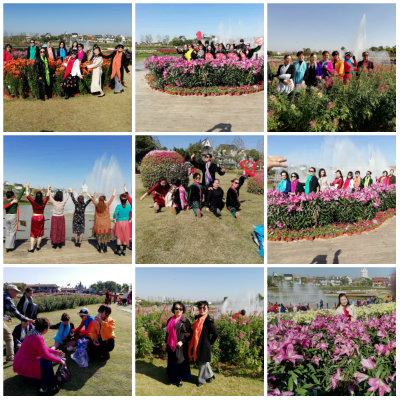 1573741036374121.jpg 拼图花间留影.jpg
