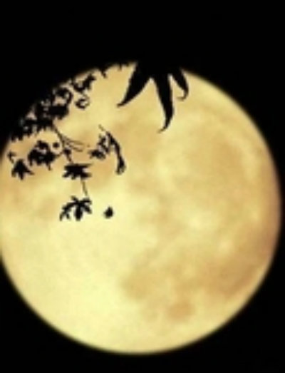 1568324279281861.jpg 中秋月图片+.jpg