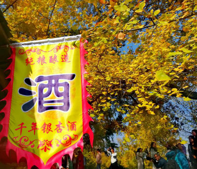 1576237834419059.jpg 酒旗++.jpg