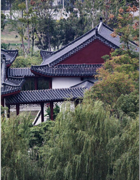 1576901514791181.jpg 梦野书院.jpg