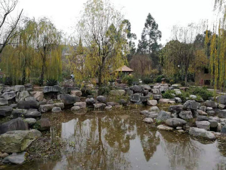 1577953536581631.jpg 石垒水塘+.jpg