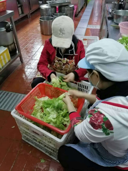 1585390996350908.jpg 图片1洗摘生菜.jpg