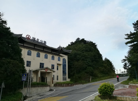 1596799256841597.jpg 稿定设计导出-20200807-175024.jpg
